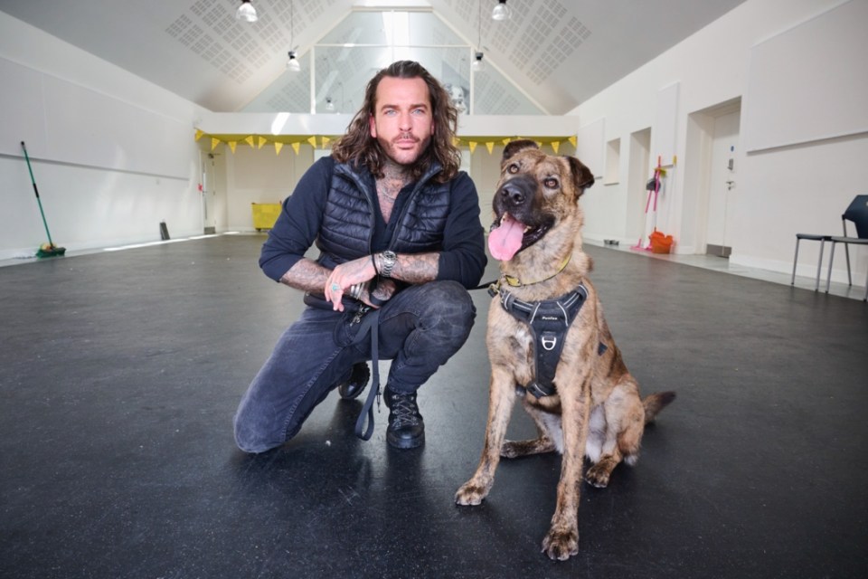 Pete tourne actuellement une nouvelle émission intitulée Pete Wicks : For Dogs' Sake, dans laquelle il met en lumière le processus de réhabilitation impliqué dans le relogement des chiens.