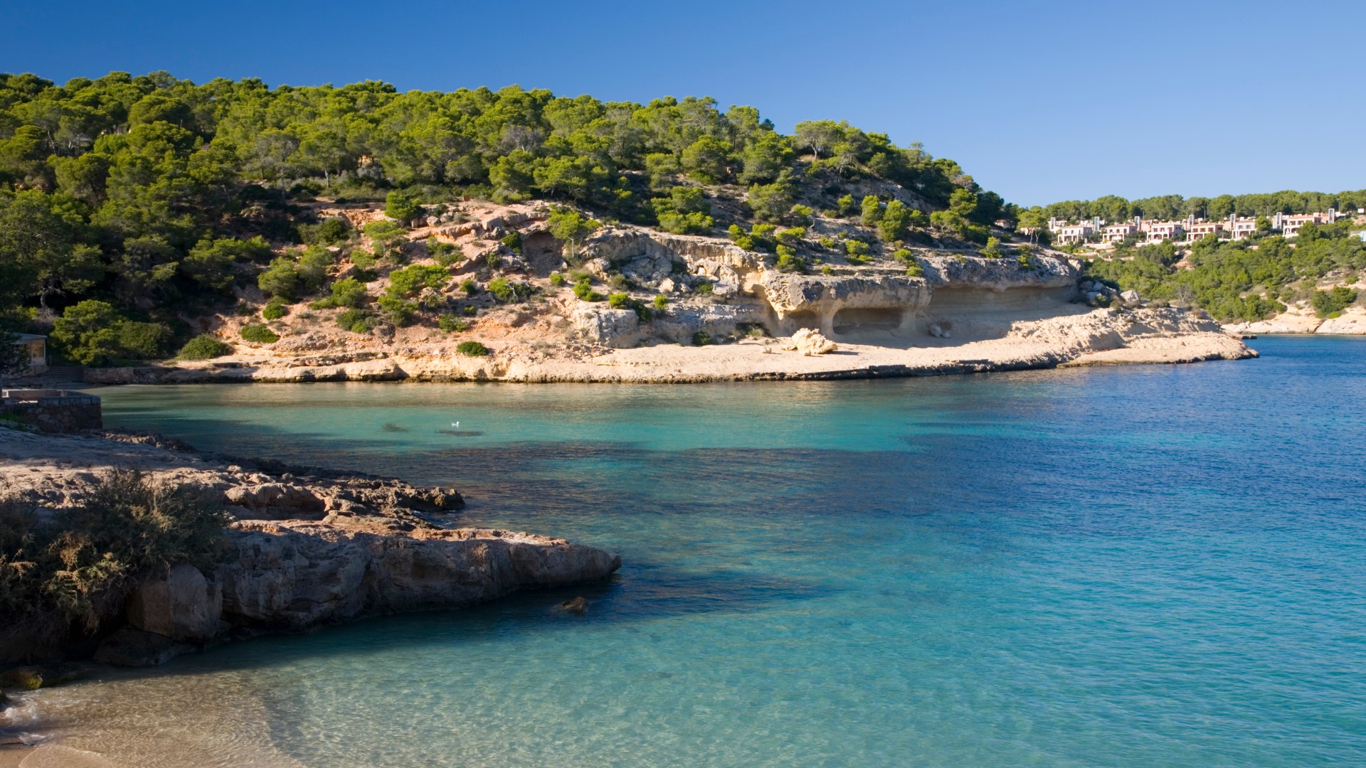 Une adolescente britannique de 17 ans a été violée dans un restaurant de Magaluf après avoir été « suivie aux toilettes » alors qu’un touriste suisse est arrêté