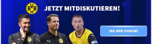 Donnez votre avis sur le forum du BVB !