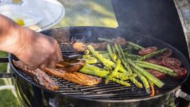 Archive : Grillades dans le jardin. 