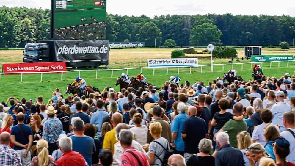 Pariez sur le bon cheval lors des courses hippiques de Hoppegarten !