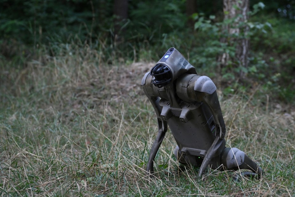 Les robots, connus sous le nom de BAD One, suivent les commandes des opérateurs, notamment se lever, s'accroupir, courir et sauter.