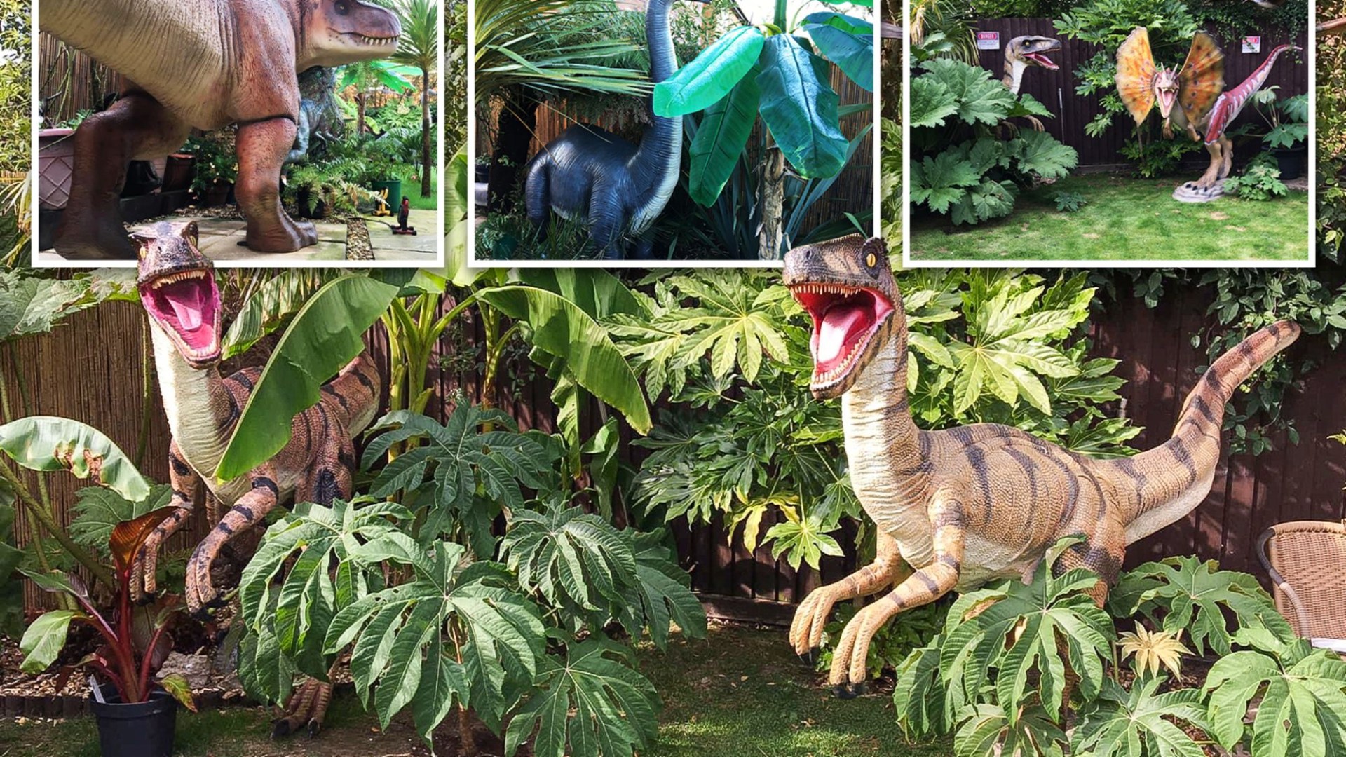 J’adore les dinosaures et Jurassic Park, déclare un fan qui a dépensé la somme exorbitante de 27 000 £ pour créer un jardin préhistorique