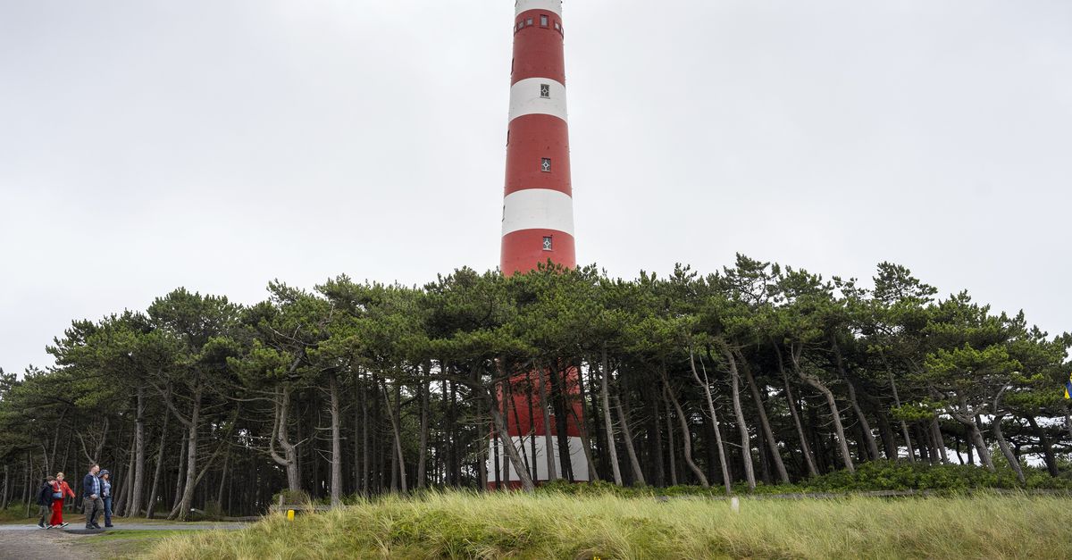 Enfants victimes de deux infractions sexuelles « graves » à Ameland