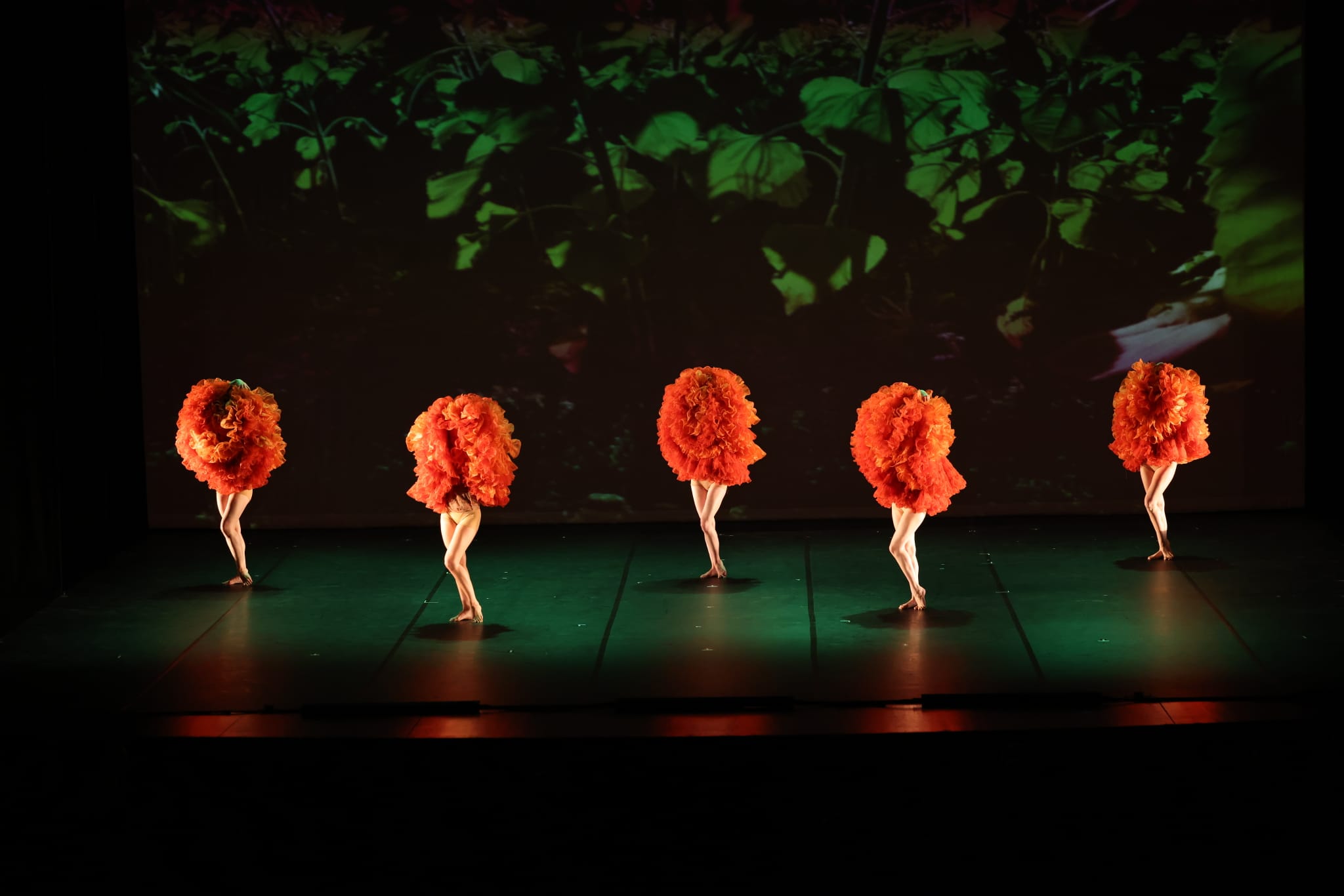 Dans le futur une école de danse. Dans le style Momix bien sûr…