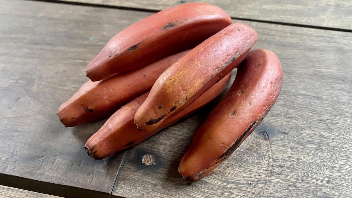 Bananes rouges : qu’est-ce qu’elles sont et leurs bienfaits pour les yeux et le système immunitaire