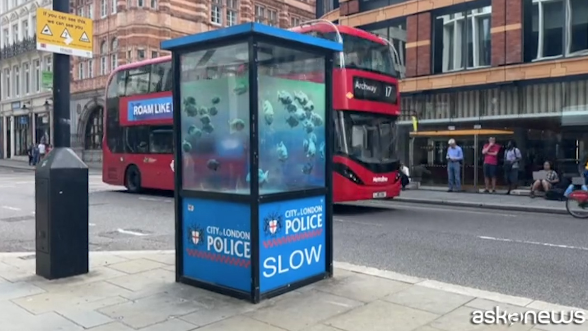 Banksy frappe encore : un aquarium avec des poissons pour son zoo de Londres