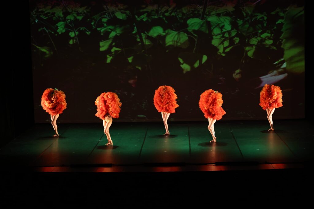 Une performance de Momix