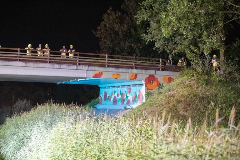 Selon la police, le conducteur a conduit la voiture depuis un viaduc du Rondweg Oost (photo : Christian Traets/SQ Vision).