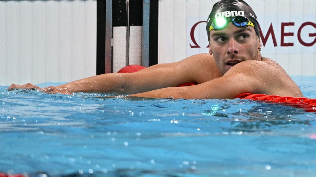 JO EN DIRECT : Paltrinieri et Acerenza immédiatement au 10 km dans la Seine