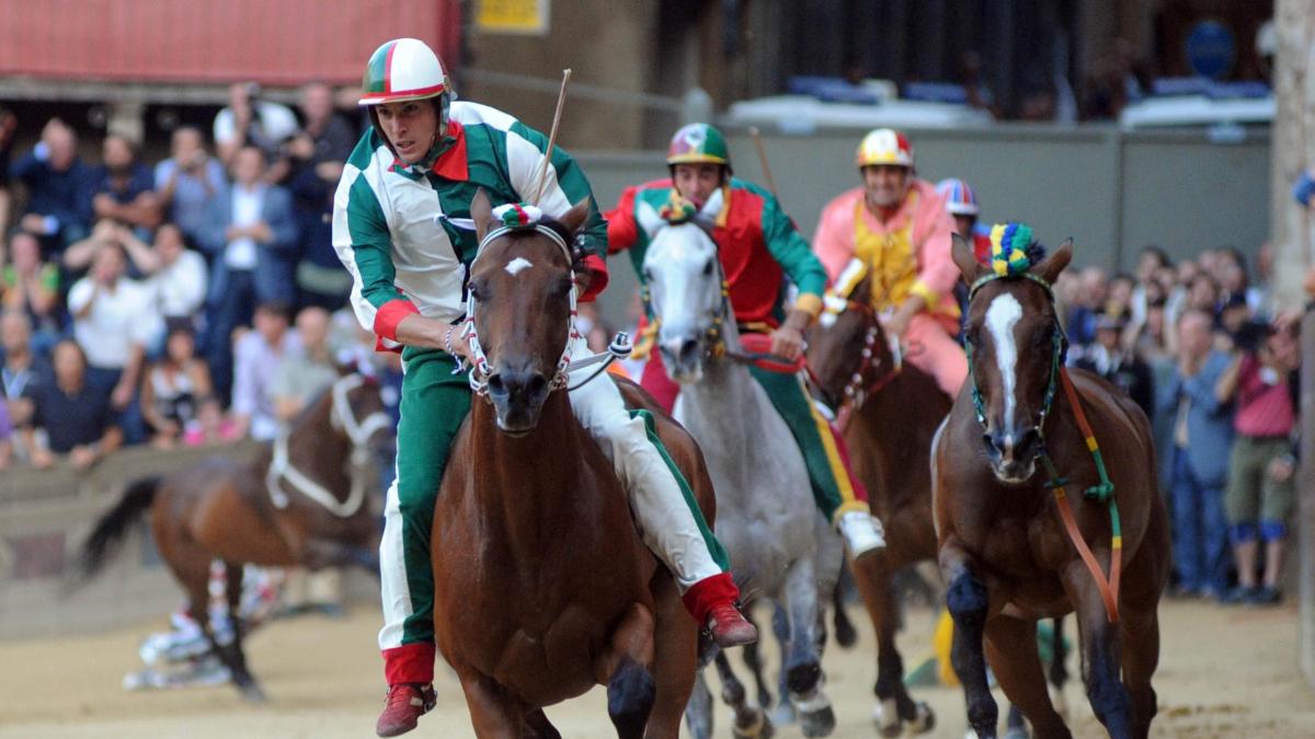 Palio de Sienne le 16 août : les chevaux affectés aux dix Contrade