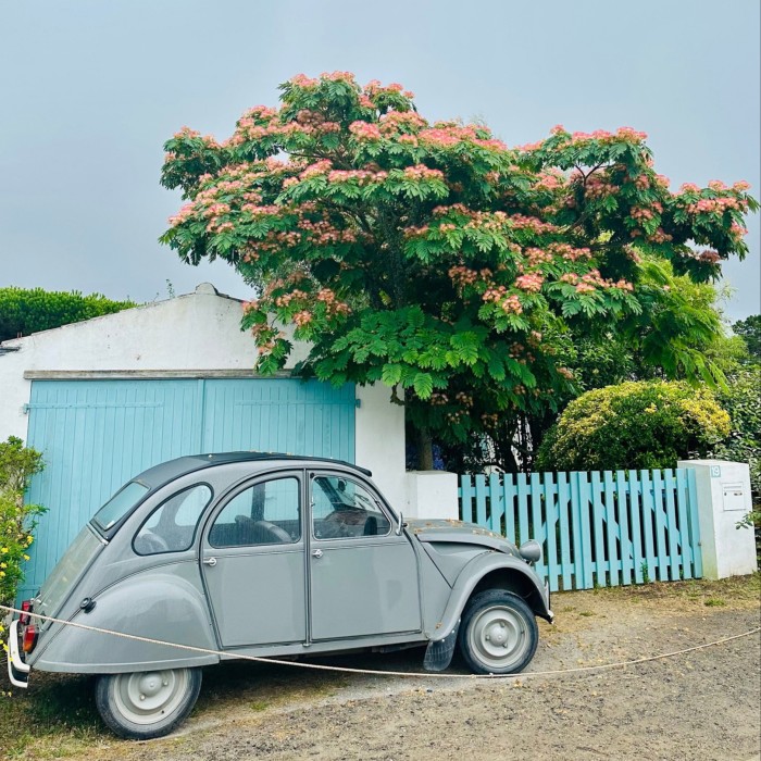 Une voiture 2CV grise garée à côté d'un garage avec des portes bleues et une palissade bleue