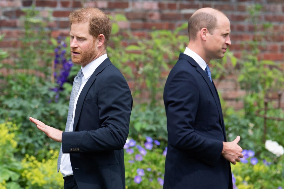 Actuellement, le prince William et le prince Harry auraient un lien « conflictuel »