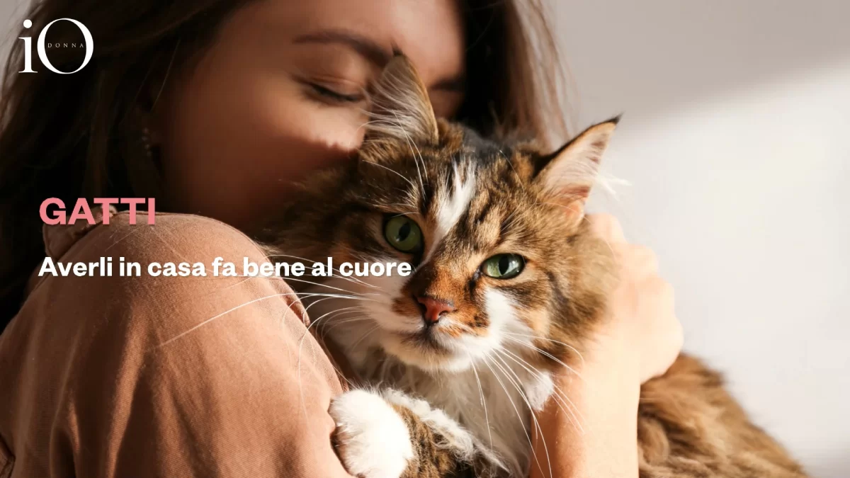 Chats et santé : les avoir à la maison est bon pour le cœur