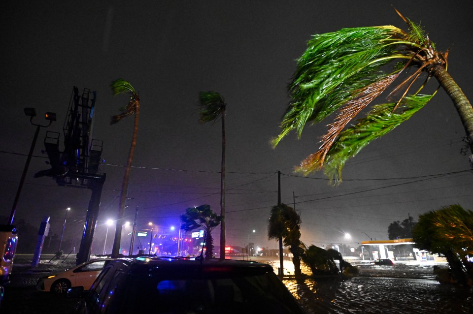 Les palmiers se plient sous le vent après que l'ouragan Milton a touché terre à Brandon