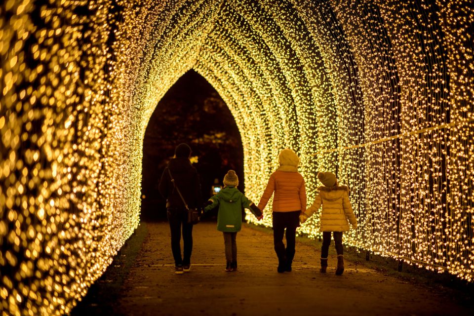 Christmas At Kew est l'un des sentiers lumineux les plus populaires de Londres, avec des illuminations plus grandes que nature