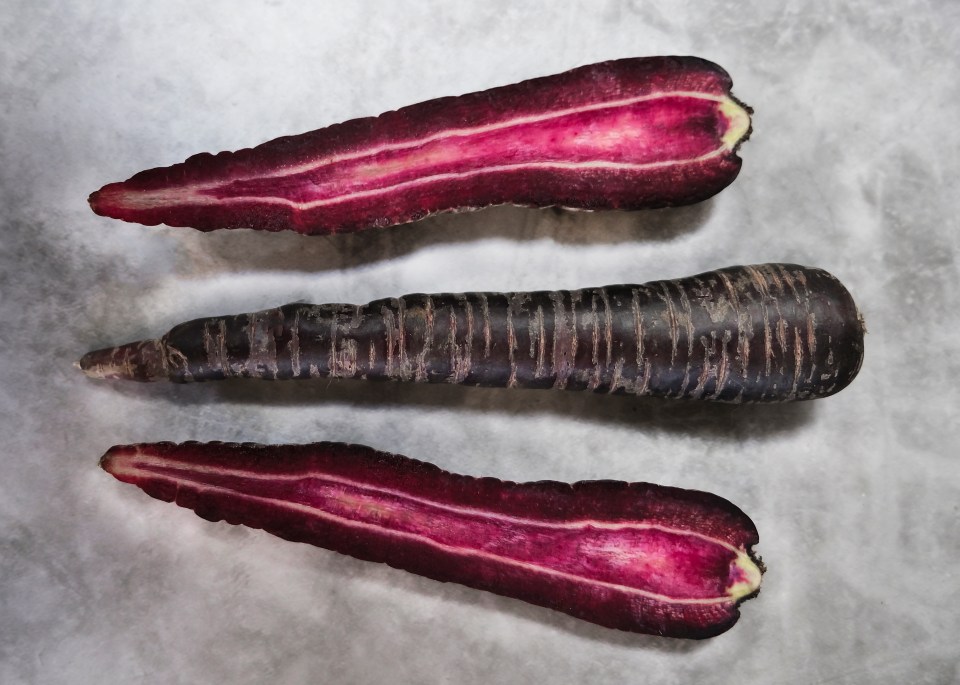 Les carottes noires ont un goût et une apparence fabuleux.