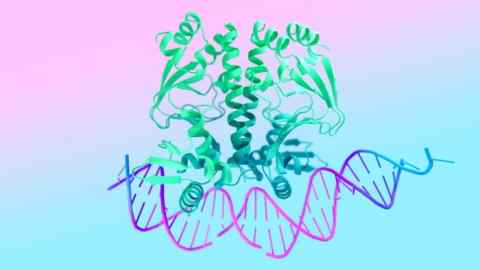 Une structure protéique