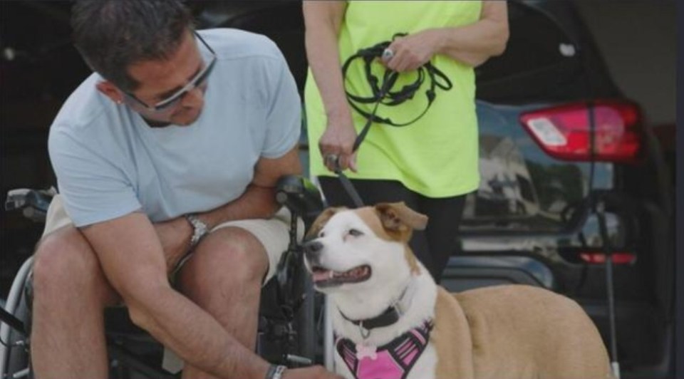 Il a survécu grâce à son chien, Tiki, qui l'a gardé au chaud jusqu'à ce que les secours arrivent 14 heures atroces plus tard.