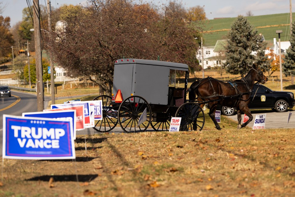 Un cheval et un buggy Amish se dirigent vers un lieu de vote dans le bâtiment municipal du canton de Leacock à Intercourse, en Pennsylvanie.