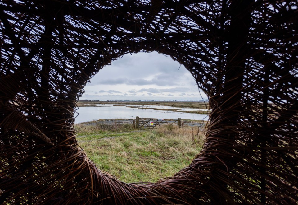 Il a été dévoilé au point de vue d'Earnley dans la réserve naturelle de Medmerry.