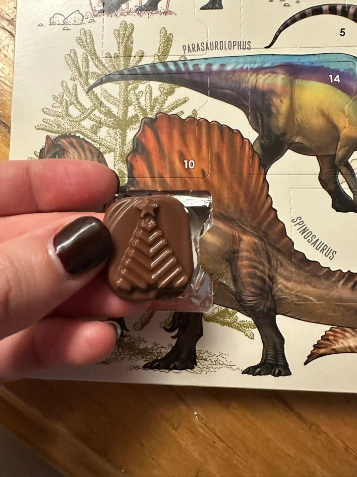 Les parents étaient furieux de découvrir que les chocolats à l'intérieur n'étaient pas en forme de dinosaure