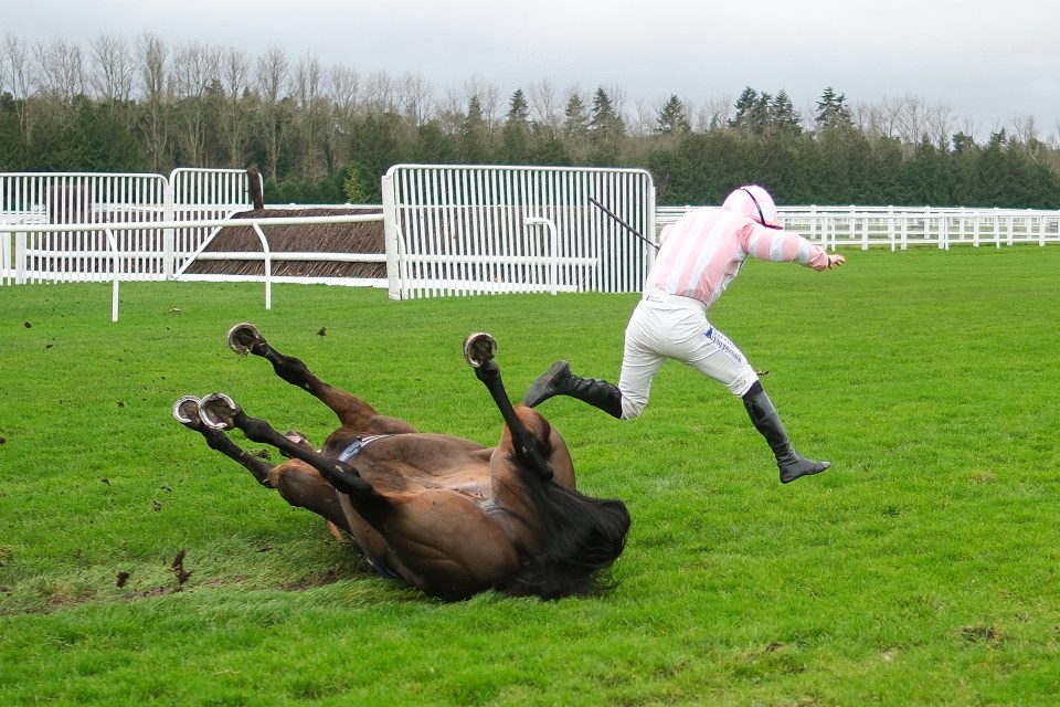 Mais le désastre s'est produit lorsque Roysse a traversé le saut et a envoyé le jockey Ben Jones voler.