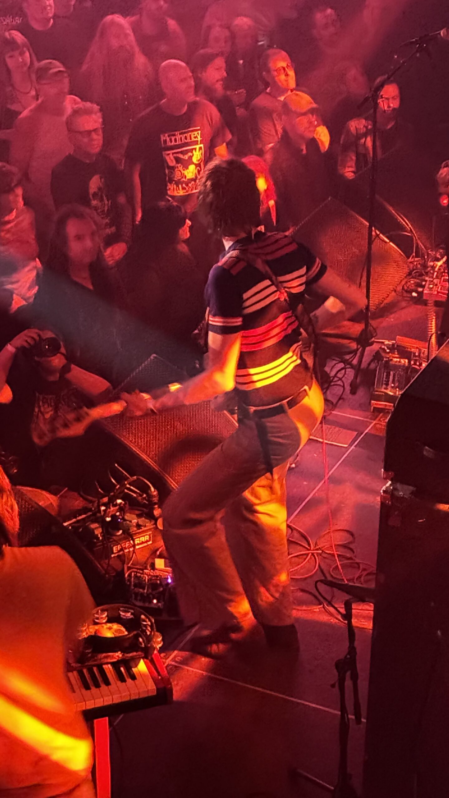 Image florale au Fuzz Club