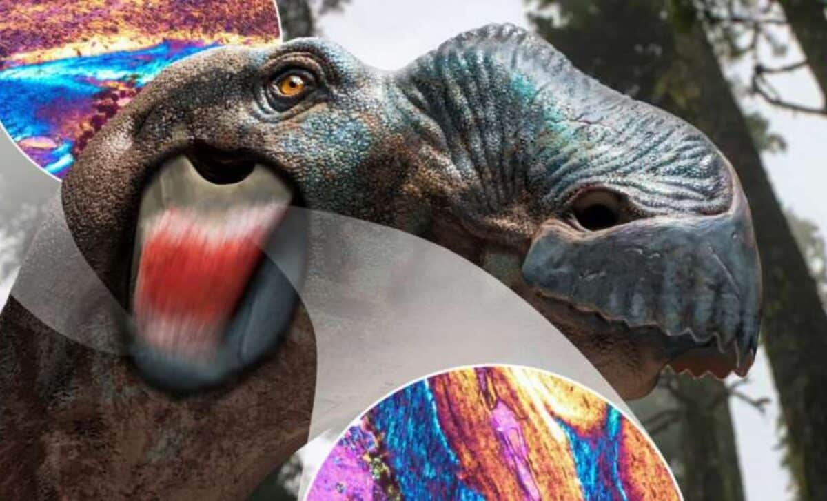 Paleontologists Just Found A Dinosaur Feature No One Knew Existed
