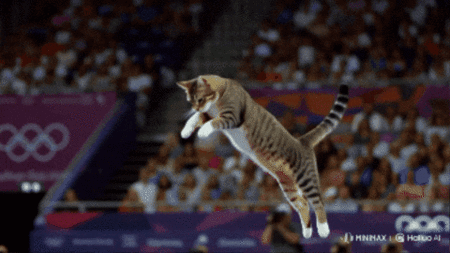 Michi olympiades