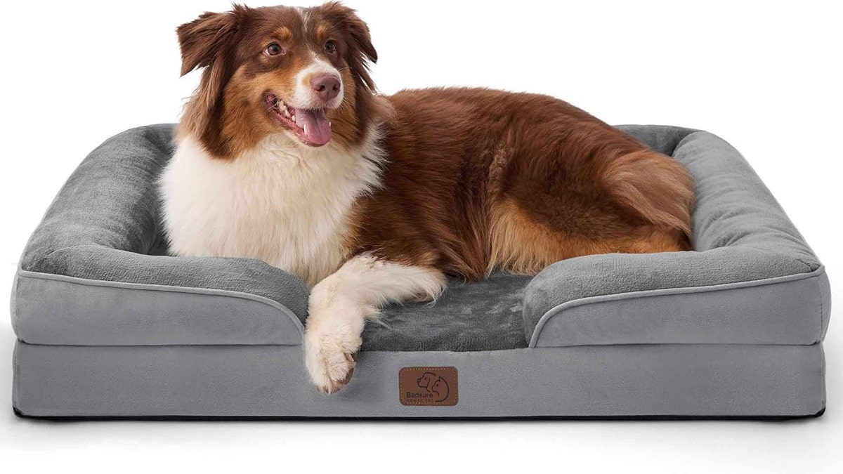 Lit orthopédique pour chien