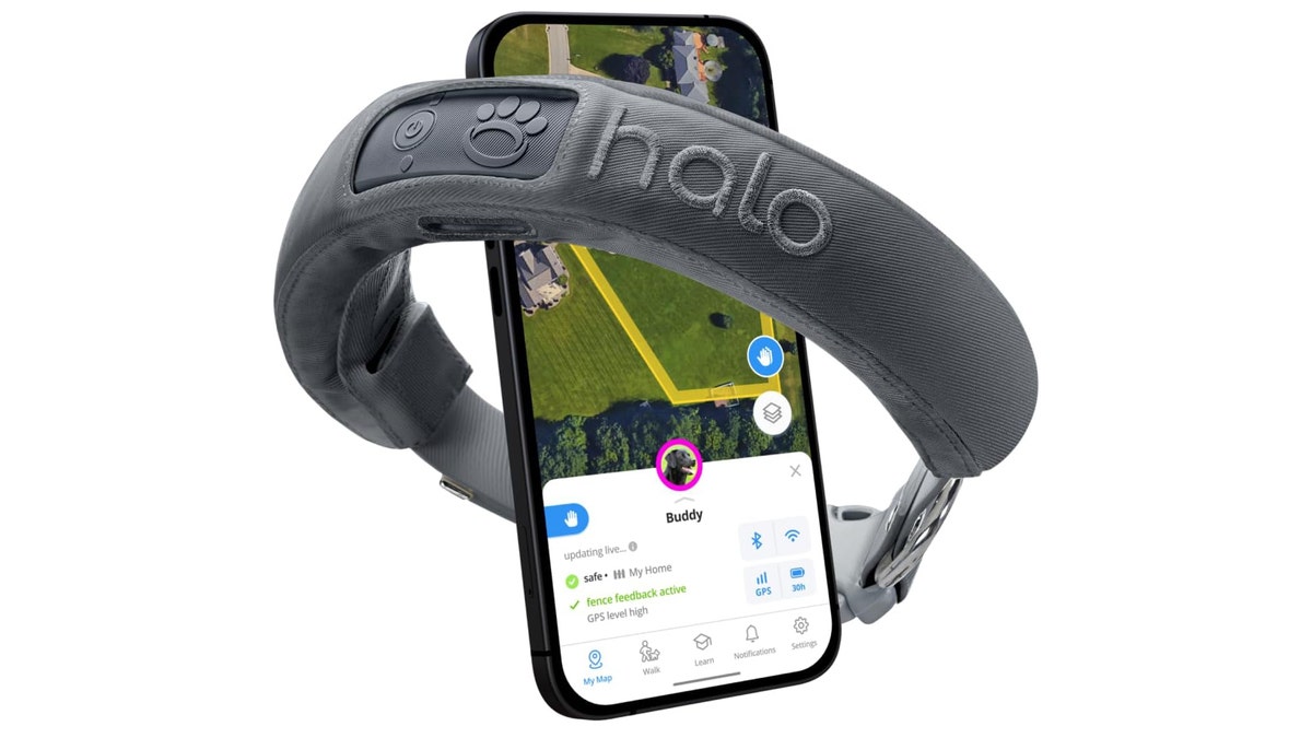 Halo Collar GPS