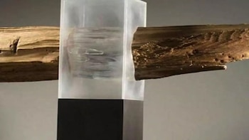La madera transparente biodegradable, hecha