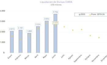 La liquidación de dollars du