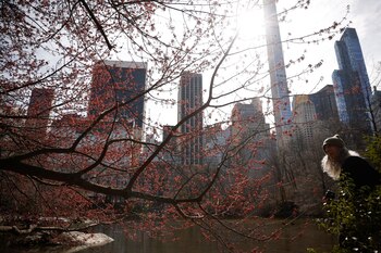 Variété climatique aux États-Unis
