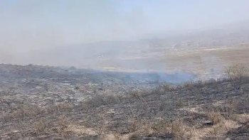 Incendie forestier