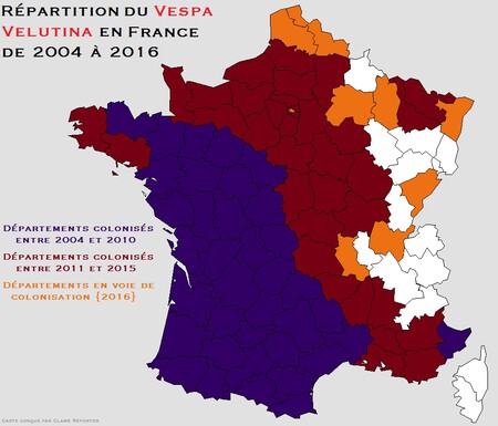 Répartition de la Vespa velutina en France