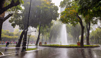 La predicción del clima en