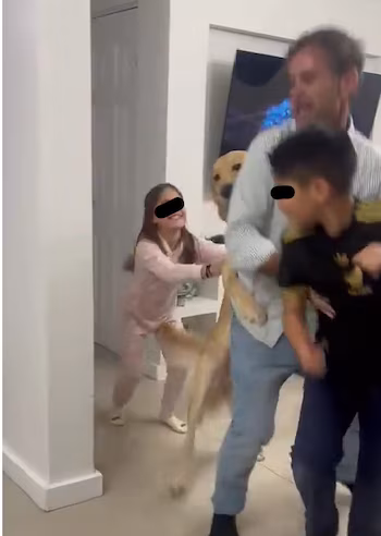 El golden retriever sorprendió al
