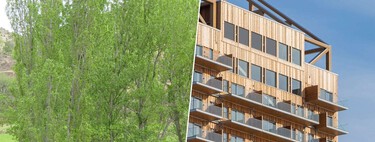 Alternatives au béton