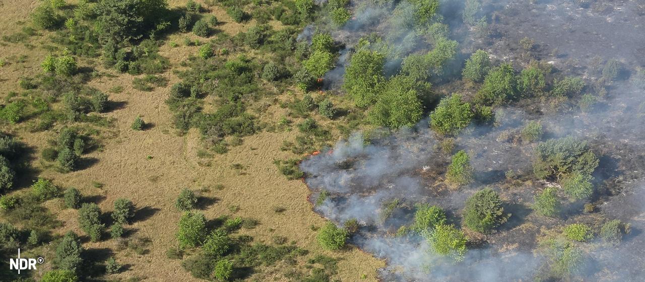 Neustrelitz : Un incendie se propage sur l’ancien champ de tir