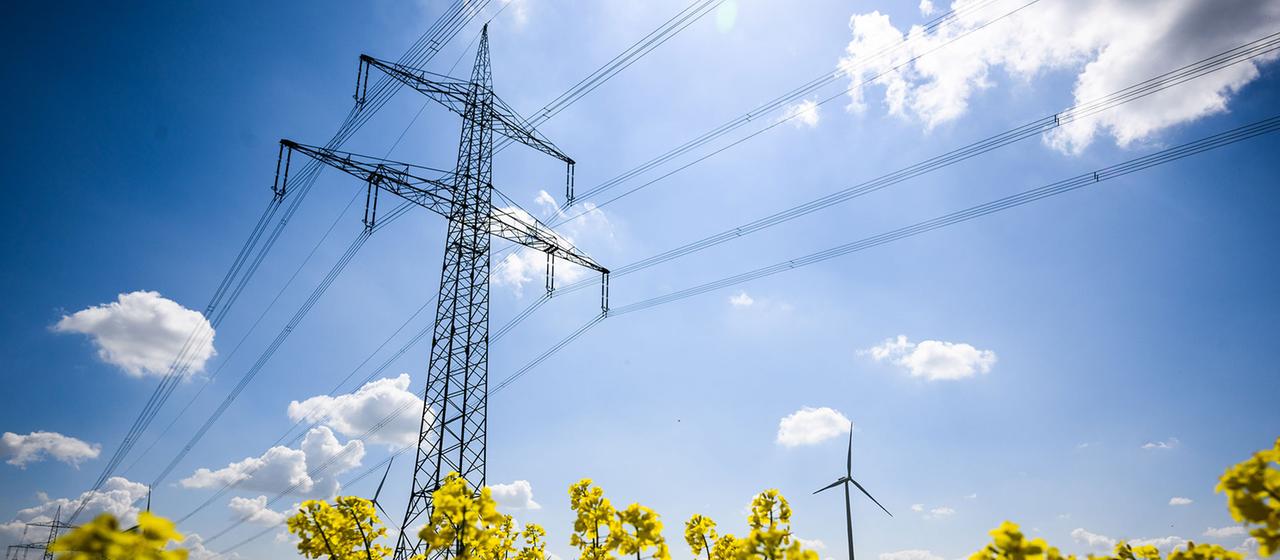 Analyse des opérateurs de réseau électrique – Rendements records et critiques massives