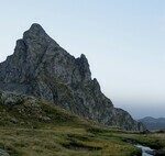 Aragón a la solution pour les terres abandonnées des Pyrénées : cultiver des herbes médicinales.
