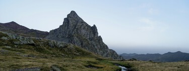 Aragón a la solution pour les terres abandonnées des Pyrénées : cultiver des herbes médicinales.