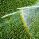 Comment une réduction de la consommation d’eau en agriculture peut augmenter les rendements