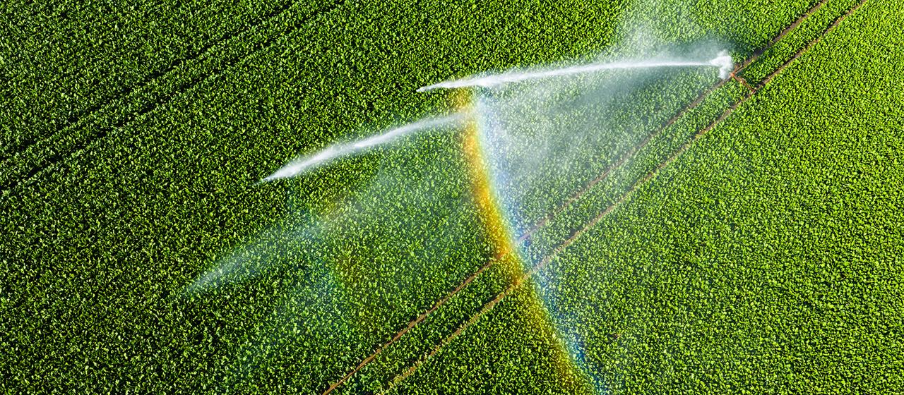 Comment une réduction de la consommation d’eau en agriculture peut augmenter les rendements