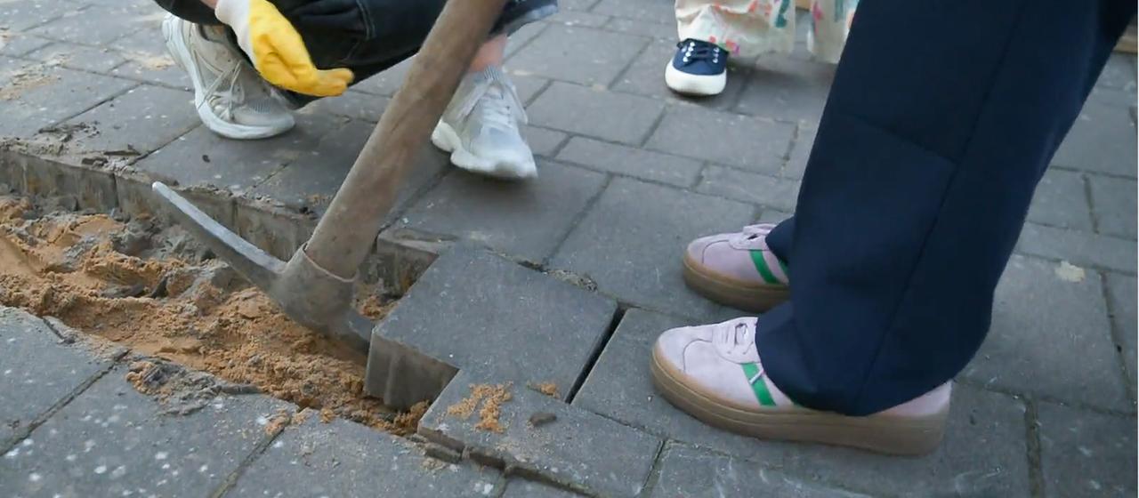 Démystification des surfaces en compétition : Du gris au vert