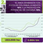 En 2016, la Colombie a signé un accord de paix historique. Par la suite, la superficie dédiée à la culture de la cocaïne a explosé.