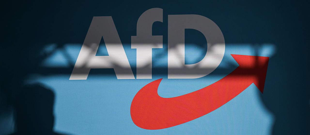 Entretien : Comment le chef de projet évalue le rapport de l’AfD