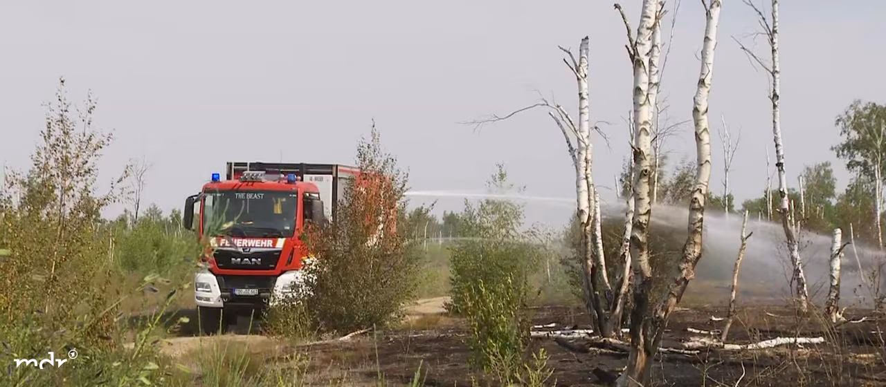 Incendie de forêt dans la Gohrischheide apparemment sous contrôle